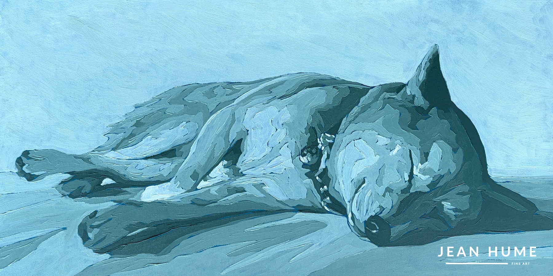Puppy Dreams